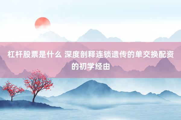 杠杆股票是什么 深度剖释连锁遗传的单交换配资的初学经由