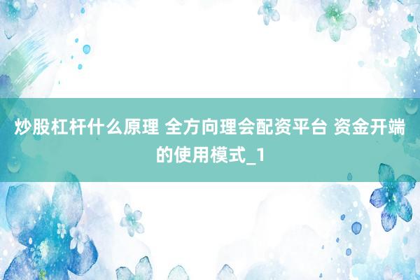 炒股杠杆什么原理 全方向理会配资平台 资金开端的使用模式_1
